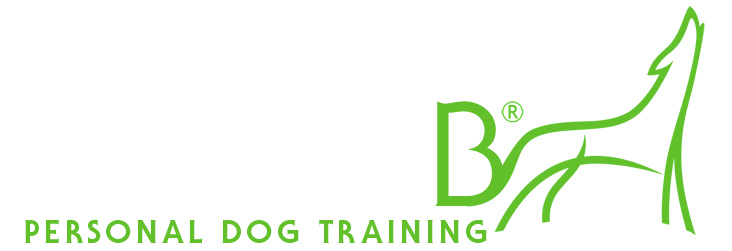 Baulab